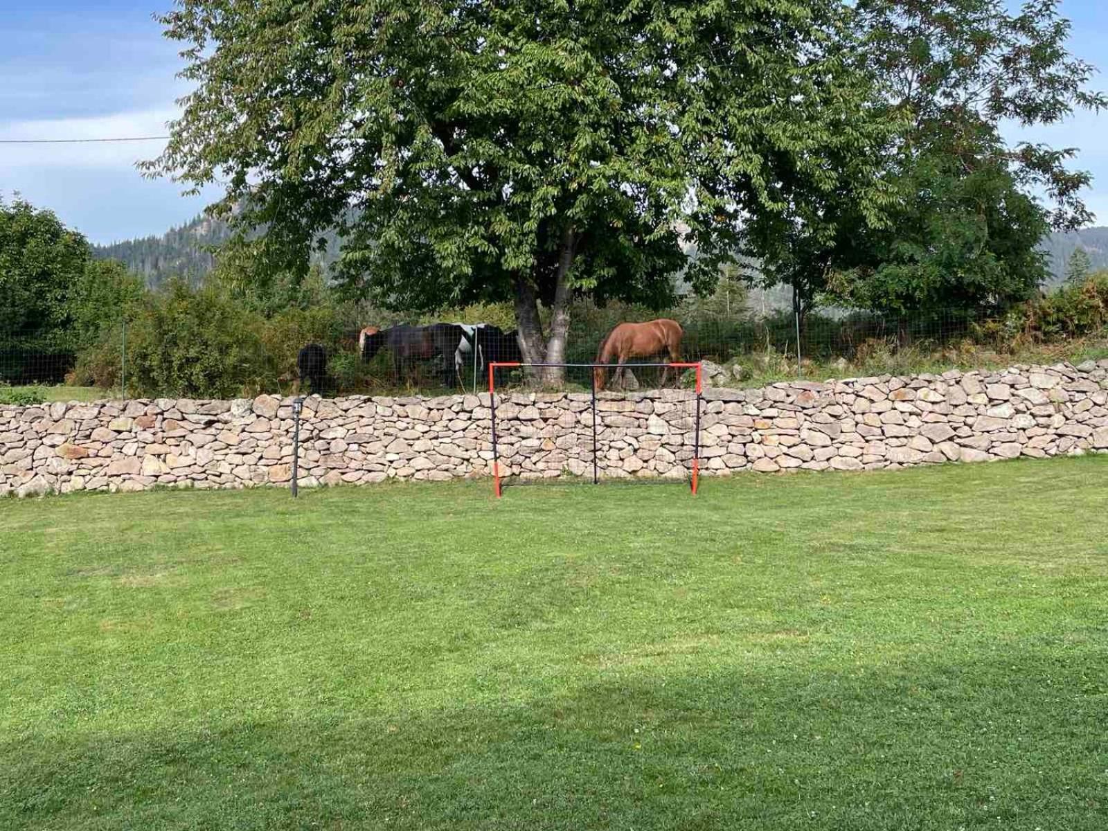 Cassiopea Villas Pamporovo Kültér fotó